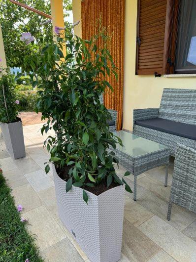 Agriturismo Il Portico Capalbio Dış mekan fotoğraf